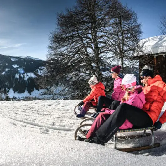 Mariengut Aparthotel Winter Vacation Wagrain 2