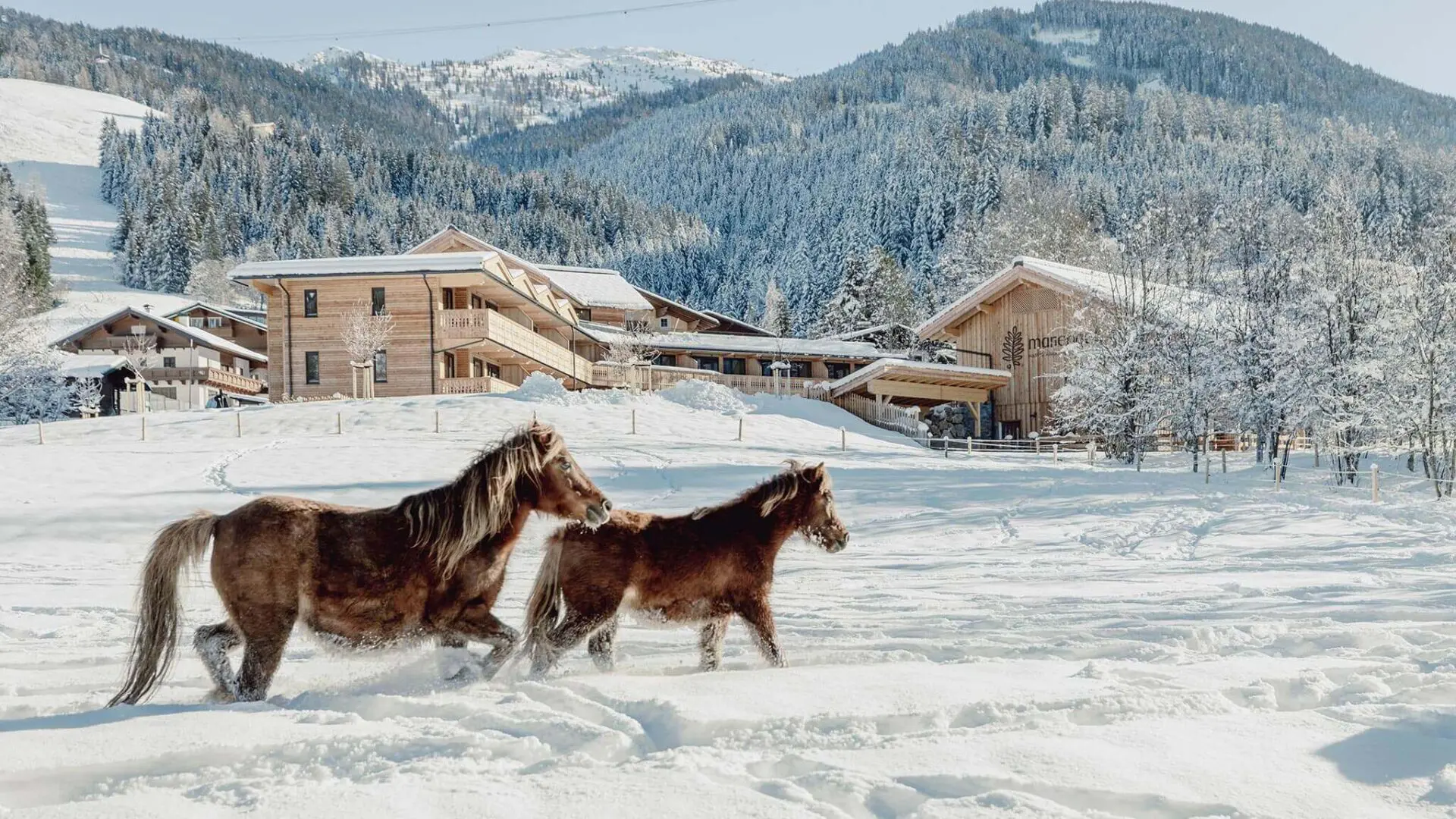 Mariengut - Aparthotel & Ferienwohnungen in Wagrain, Salzburg