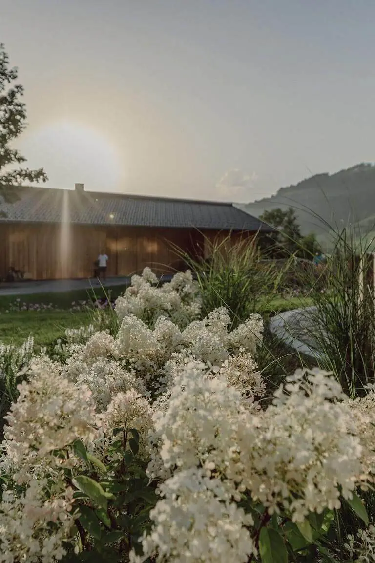 Mariengut - Aparthotel mit Ferienwohnungen in Wagrain