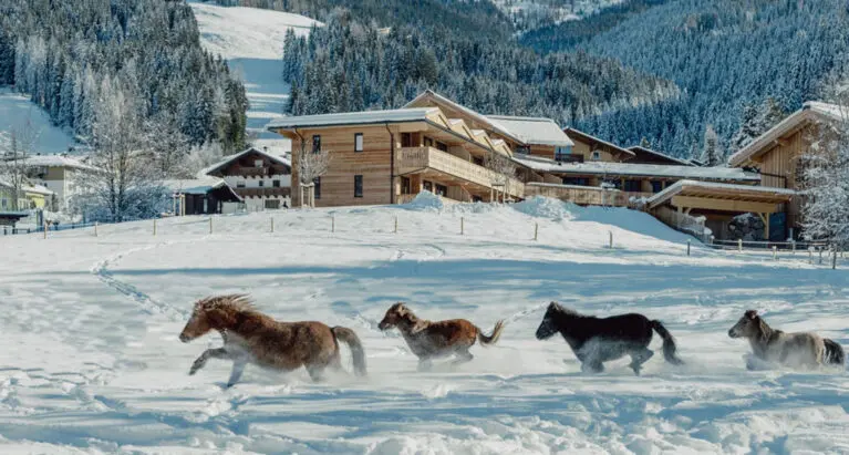 Pferde - Aparthotel in Wagrain, Salzburg