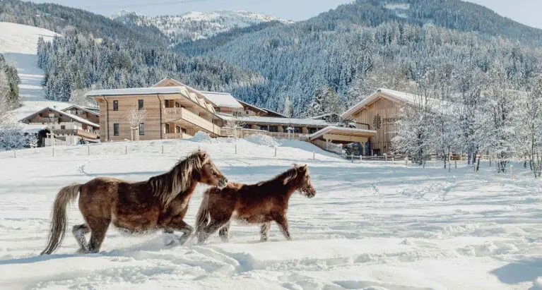 Pferde - Aparthotel in Wagrain, Salzburg