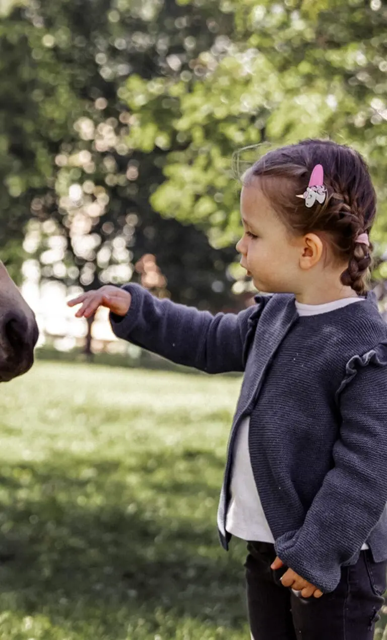 Mariengut Aparthotel Wagrain Startseite 7