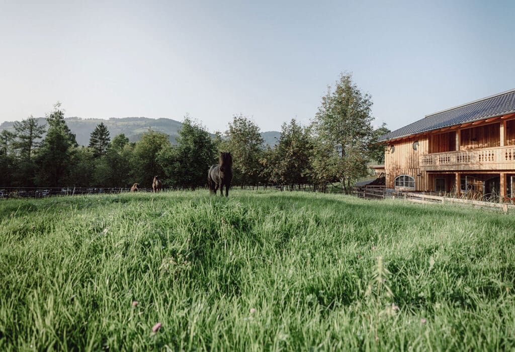 Included services at the Aparthotel Mariengut in Wagrain